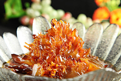 海蜇 海洋的晶莹瑰宝