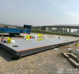 供应食品厂专用3×18米100吨物联网电子地磅高清展示与海蜇生产应用